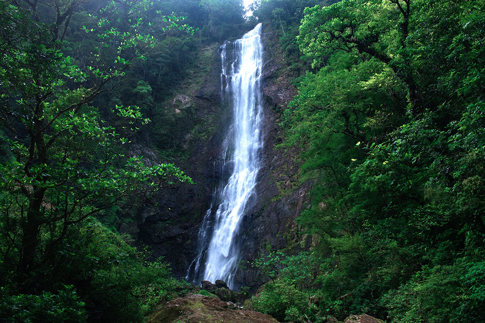 salto-mil-.jpg