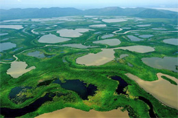 pantanal.jpg