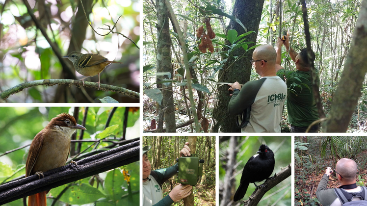 Pesquisa_Densidade e Ocupação.png