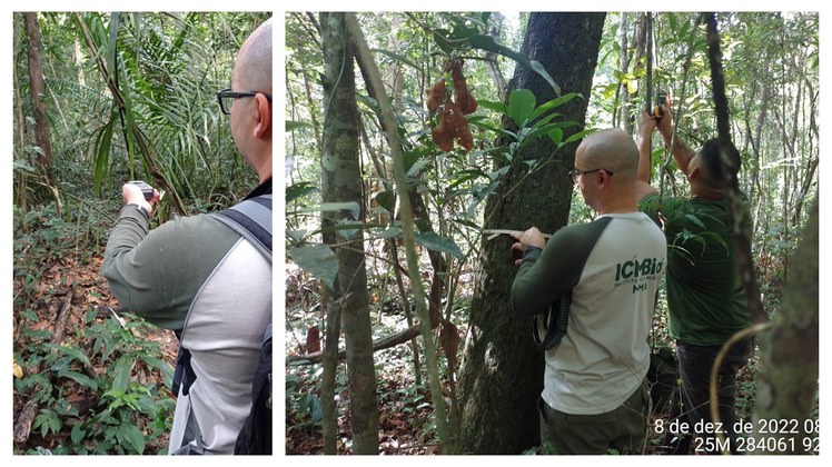 Projeto DIBIO Diego_2025.jpg