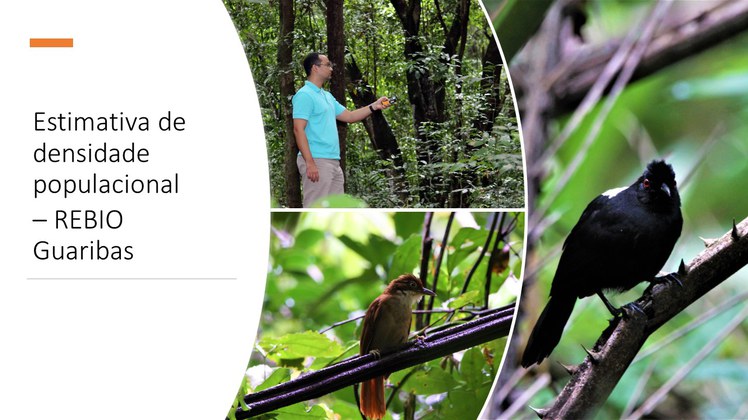 Projeto3-REBIO-Guaribas.jpg
