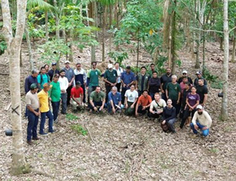 ICMBio e Embrapa realizam o I Intercâmbio em Sistemas Agroflorestais com produtores da Reserva Extrativista Chico Mendes (AC)