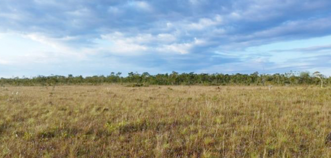 Foto: Adarquia Monteiro