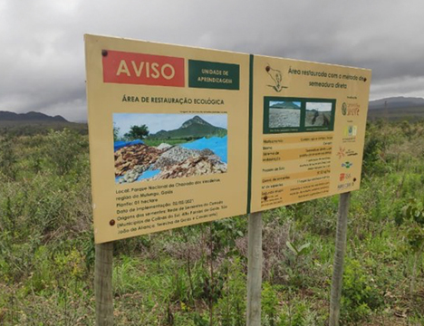 Restauração do Cerrado exige uso de maquinário agrícola e herbicidas