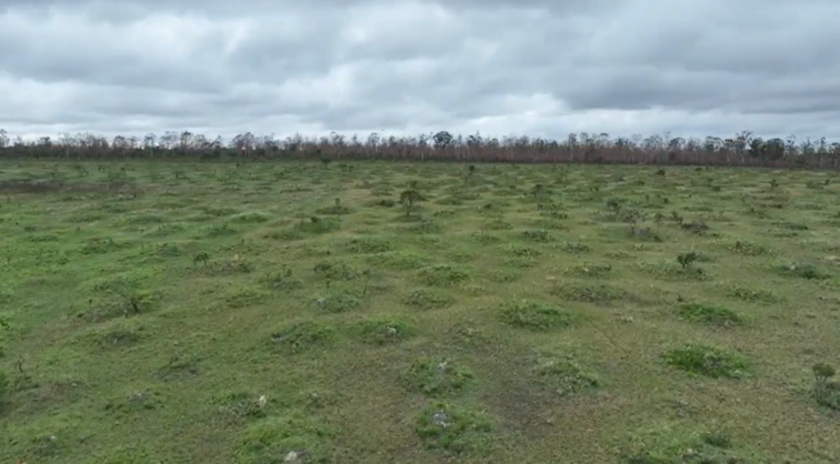 campo de mundus -foto aérea flona de Brasíla - Daniel Milhomem