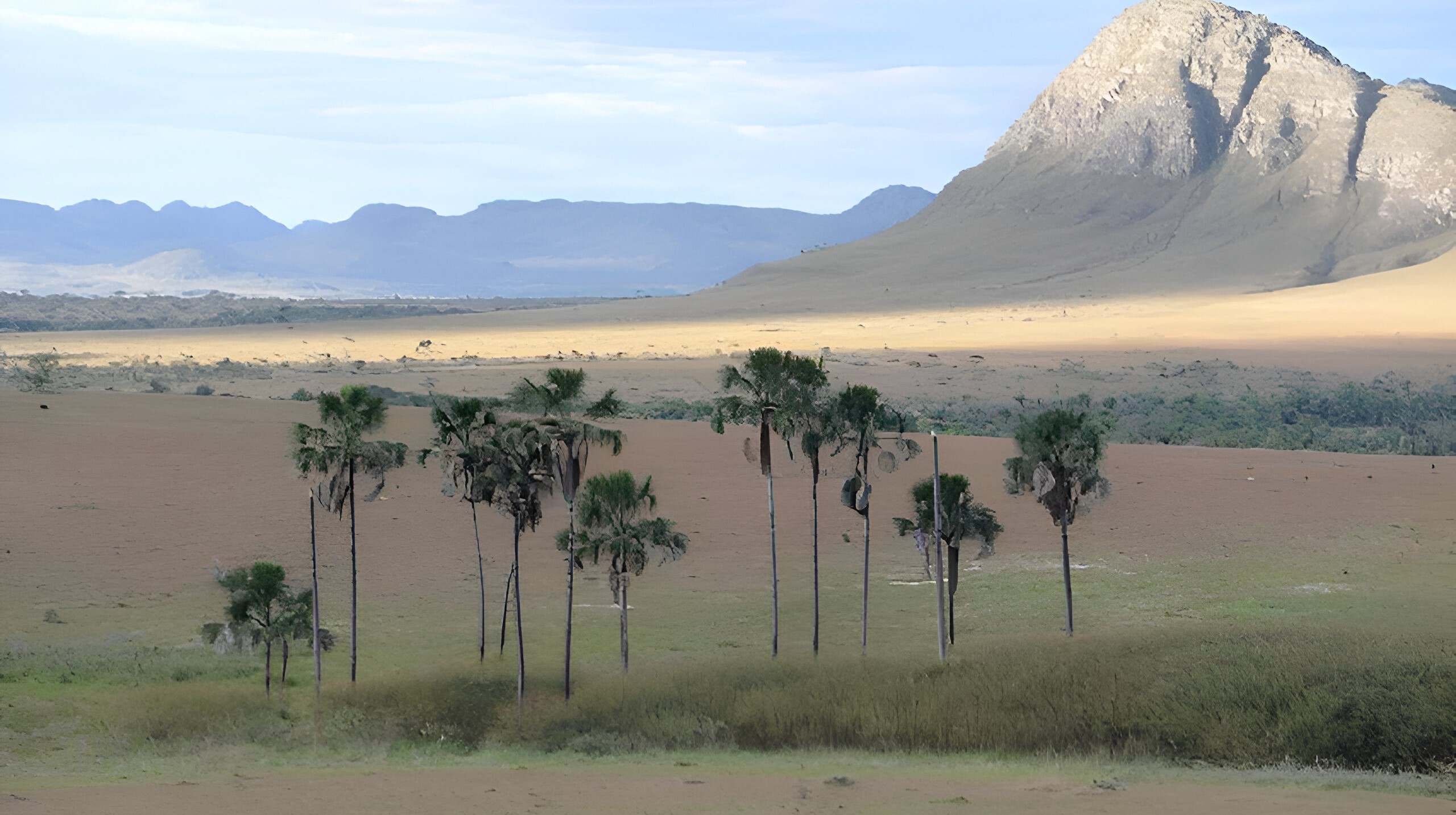 Vereda (turfeita); foto: Suelma.