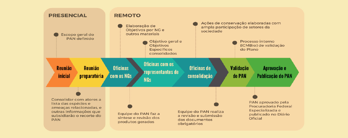 Processo de Construção Remota do Plano de Ação Nacional para Conservação dos Insetos Polinizadores Ameaçados de Extinção