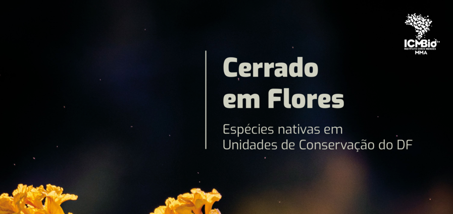 cerrado em flores