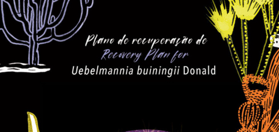 Plano de Recuperação de Uebelmannia buiningii Donald (Coroa de Ita)