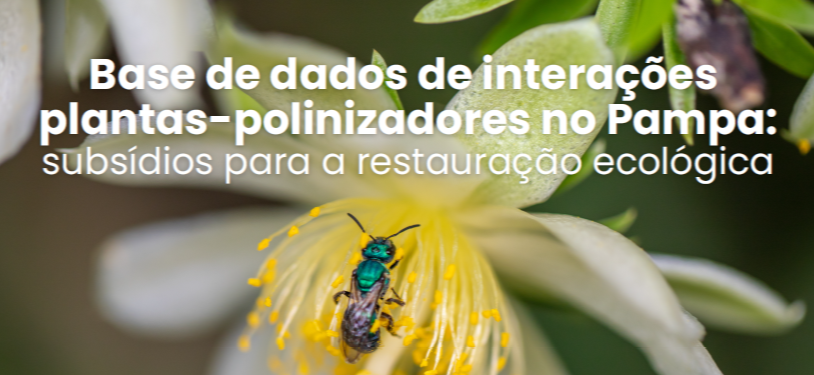 Base de dados de interações plantas-polinizadores no Pampa: subsídios para a restauração ecológica