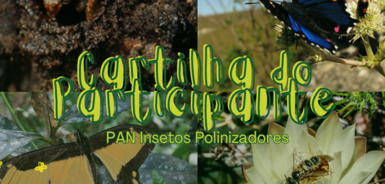 PAN Insetos Polinizadores - Cartilha do Participante