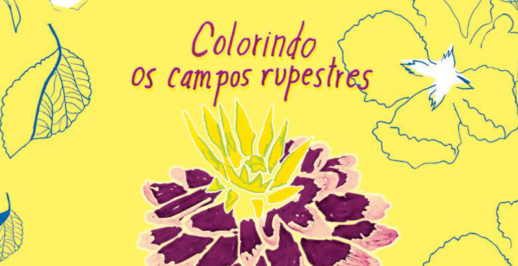Colorindo Campos Rupestres
