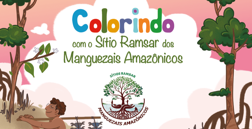 colorindo manguezais