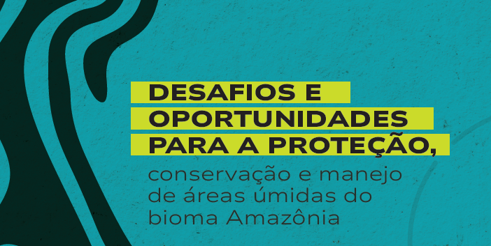 Desafios e oportunidades para a proteção, conservação e manejo de áreas úmidas do bioma Amazônia