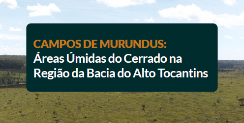 Livro Campos de Murundus