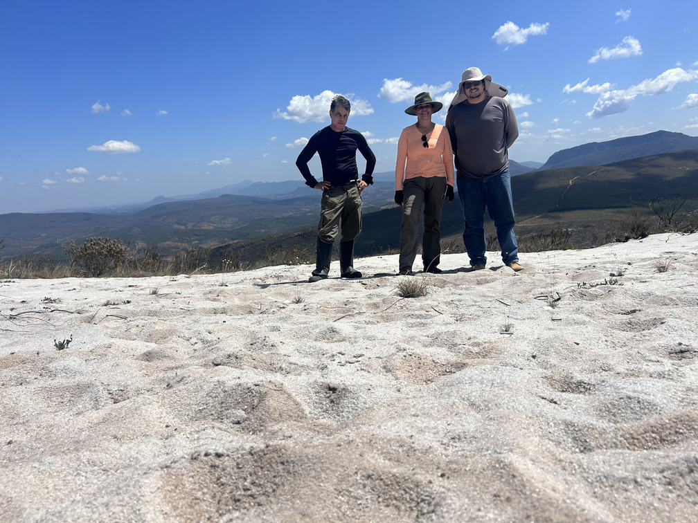 Equipe de campo do CBC para pesquisas com plantas ameaçadas de extinção. Pedra Menina - MG.
