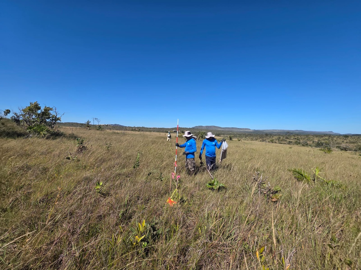 Montagem de parcelas em Campo de Murundus; foto: Waldeci Ferreira.