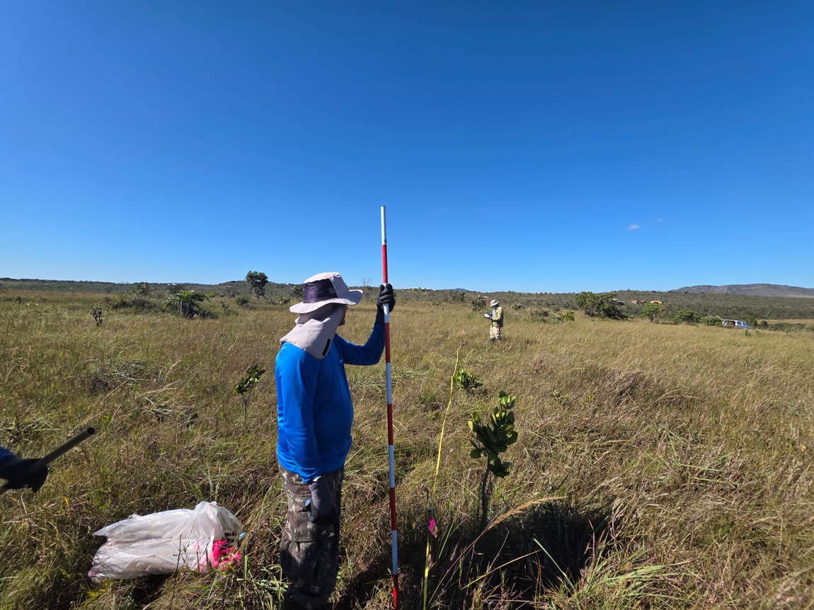 Montagem de parcelas em Campo de Murundu; foto: Waldeci Ferreira.