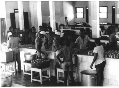 História 14_Acervo CEPENE/ICMBio.