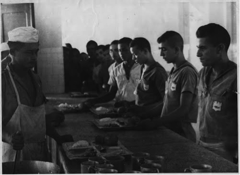 Acervo CEPENE/ICMBio.