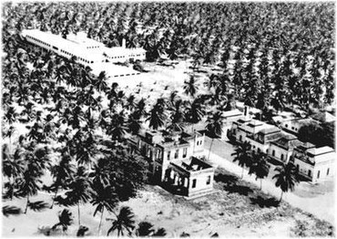 Acervo CEPENE/ICMBio.