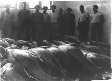 Acervo CEPENE/ICMBio.