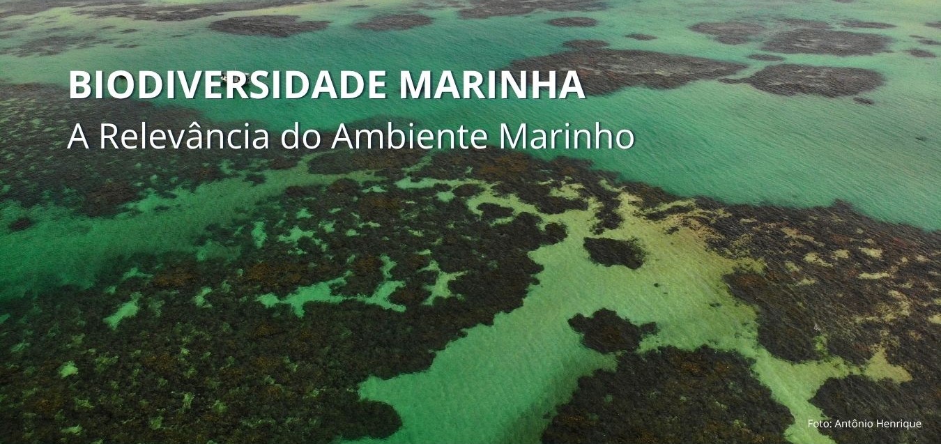 A Relevância do Ambiente Marinho