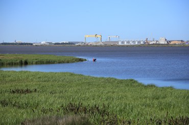 Marismas - Foto: Dilton Castro