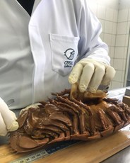 Bathynomus giganteus