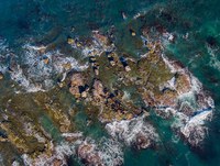 CEPSUL participa do Voluntariado de Verão do REVIS Ilha dos Lobos, em Torres (RS)