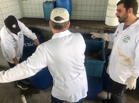 CEPSUL recebe pesquisadores da UNESP para avanço nos estudos sobre crustáceos de águas profundas.