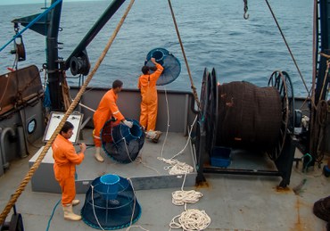 Monitoramento da Biodiversidade