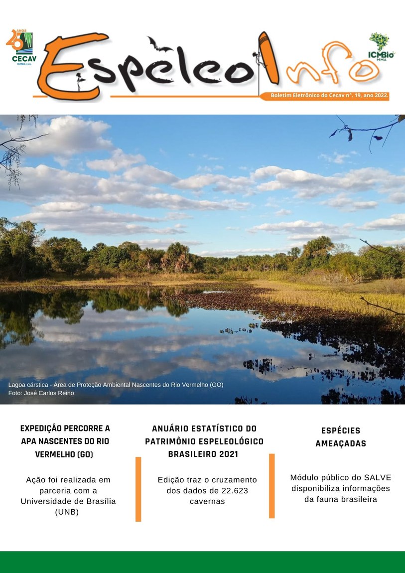 Nº 19/2022