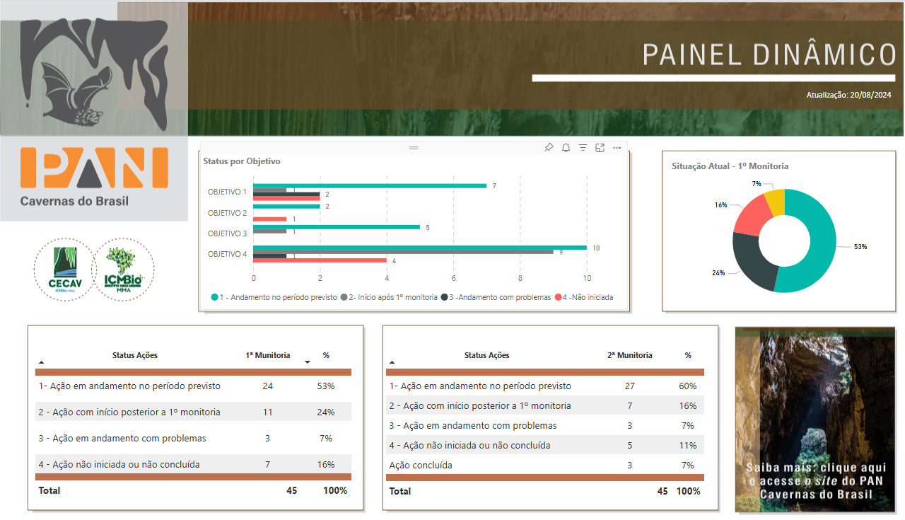 PAN-PowerBI