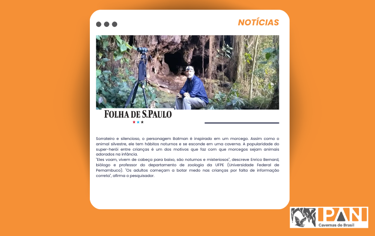 Notícia - Folha de São Paulo.png