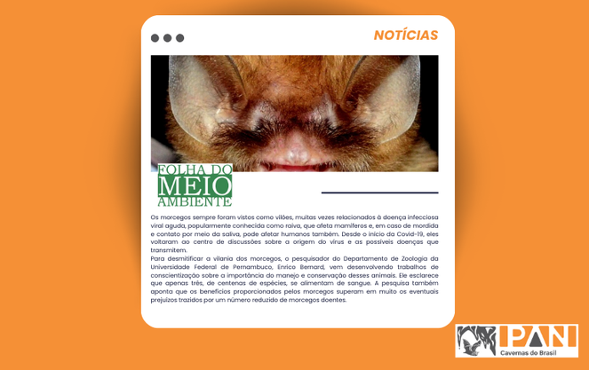 Notícia - Folha do Meio Ambiente.png