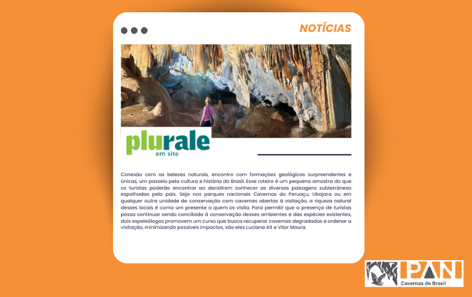 Notícia - Plurale.png