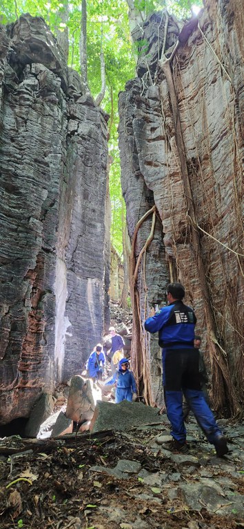 WhatsApp Image 2026-01-14 at 22.25.12.jpeg