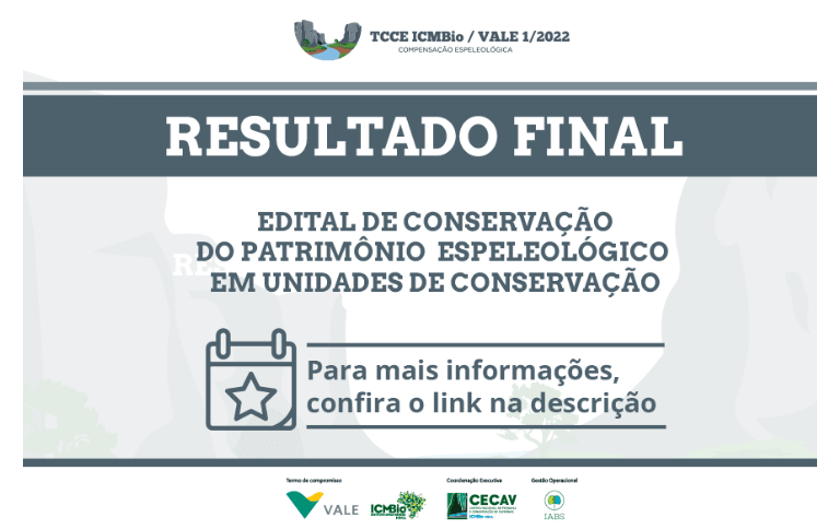 Resultado Preliminar (2).png