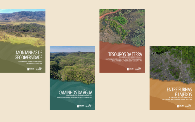 Sem nome (768 x 484 px) (3).png