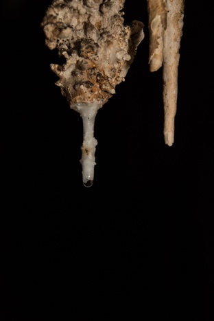 Januaria_MG_Espeleotema_PNCP_Mauricio_Andrade_01.jpg