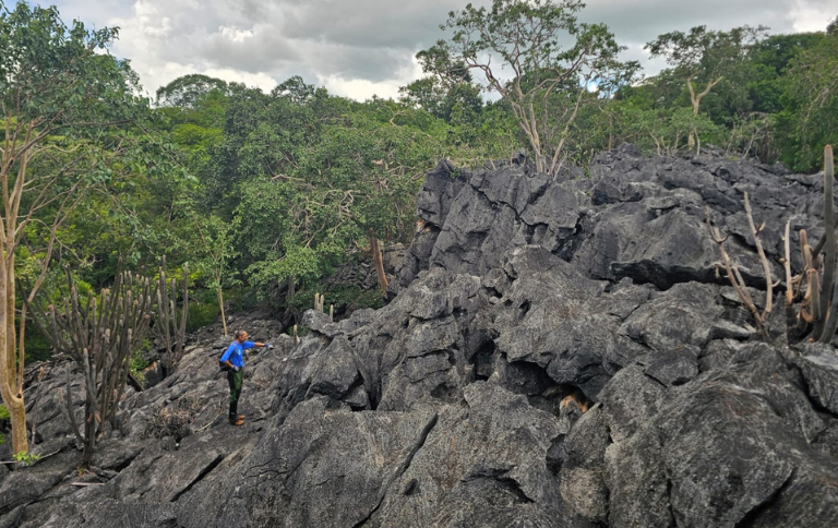 Equipe realizou a primeira vistoria técnica, outros trâmites deverão ser cumpridos até a decisão de criação