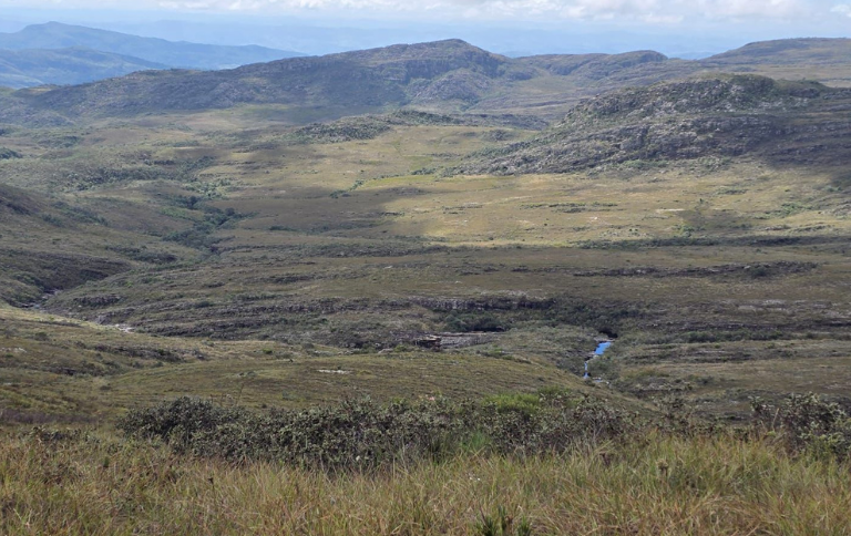 Banner (10).png