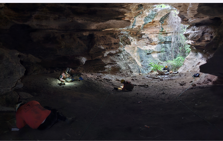 Estudos são conduzidos por pesquisadores do Centro de Estudos em Biologia Subterrânea (CEBS), vinculado à Universidade Federal de Lavras (UFLA)