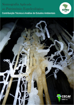 Contribuições Técnicas