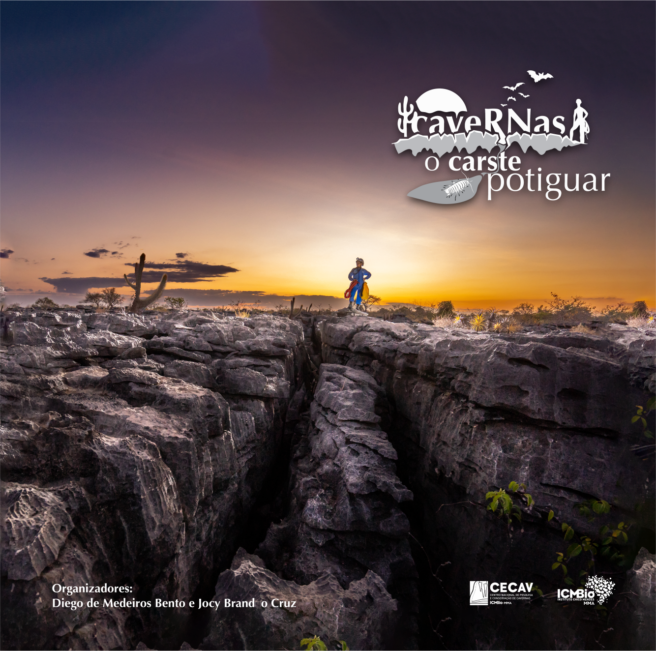 Capa Livro