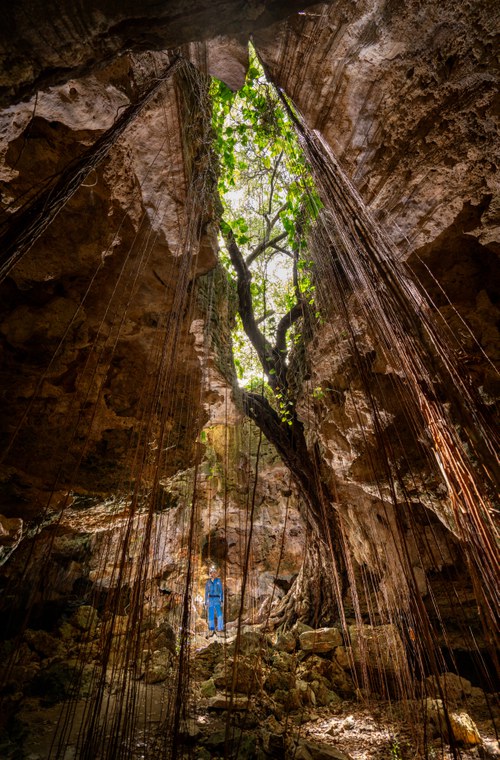 Crotes - Menin -10 (1).jpg