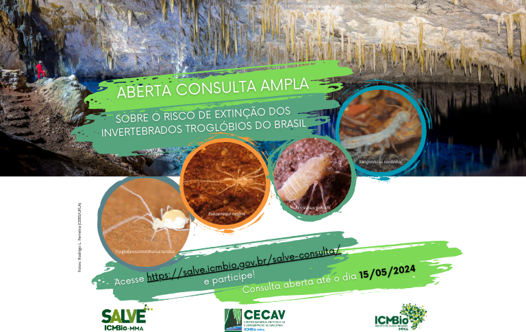 Aberta consulta ampla sobre risco de extinção de troglóbios no Brasil
