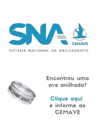 Logo CEMAVE e formulário SNA