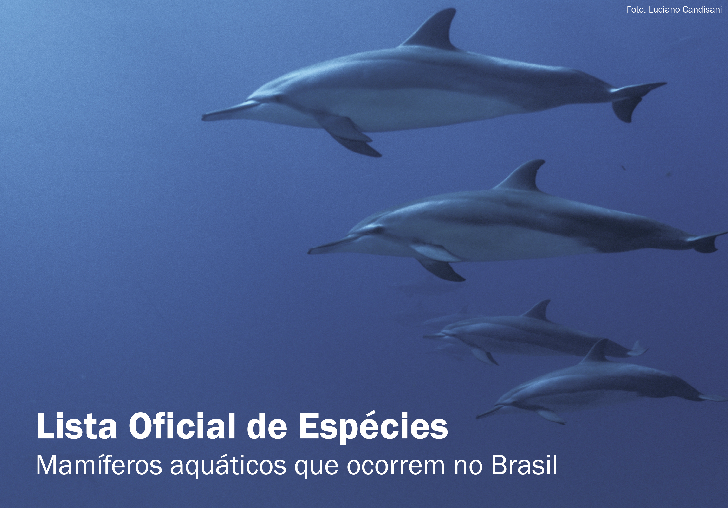 Sobre o CMA  O Centro Pesquisa e Conservação de Mamíferos Aquáticos - CMA/ICMBio é um dos 14 Centros Nacionais de Pesquisa e Conservação do Instituto Chico Mendes de Conservação da Biodiversidade (ICMBio), autarquia federal vinculada ao Ministério do Meio Ambiente (MMA)  tem como missão promover ações para conservação dos mamíferos aquáticos, bem como dos ambientes dos quais estes dependem.